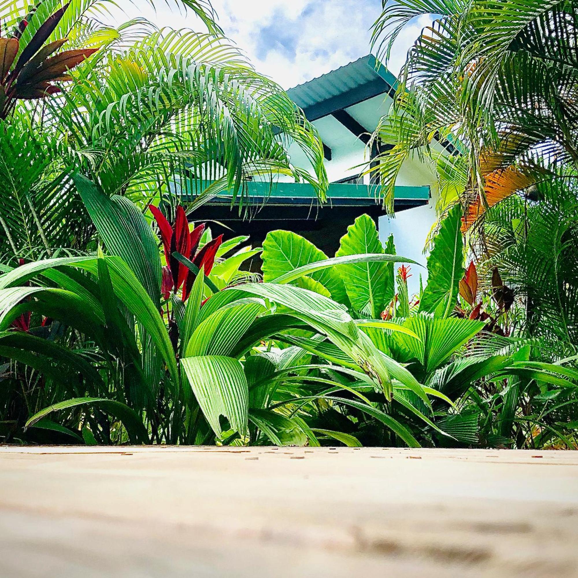 Santeria Lodge Playa Santa Teresa  Екстер'єр фото