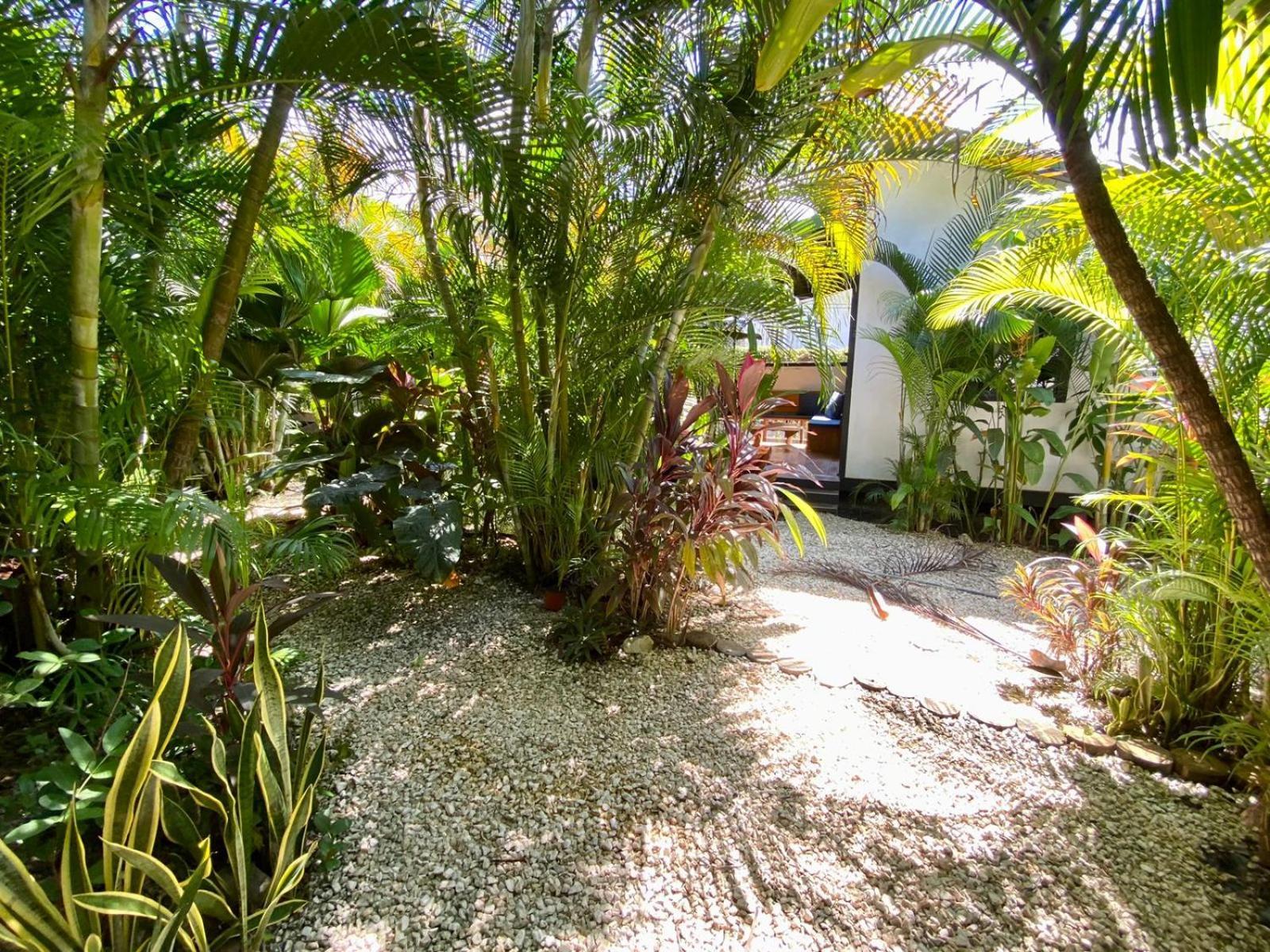 Santeria Lodge Playa Santa Teresa  Екстер'єр фото
